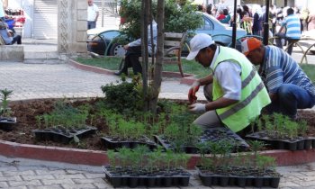 Belediye Çiçek ekimine hız verdi