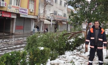 Belediye 30 santimlik kara yenildi