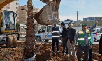 Mardin Kızıltepe arası orta refüjler’de yeşillendirme çalışmalarına başlandı