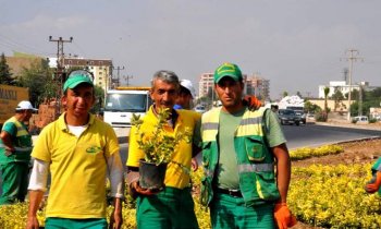 Kızıltepe girişi, ana caddelerin  orta refüjleri çiçeklendi