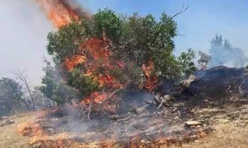 ÇEV-GÖN Başkanı Çakar'dan Cudi Yangınına Tepki