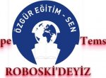 Roboskideyiz